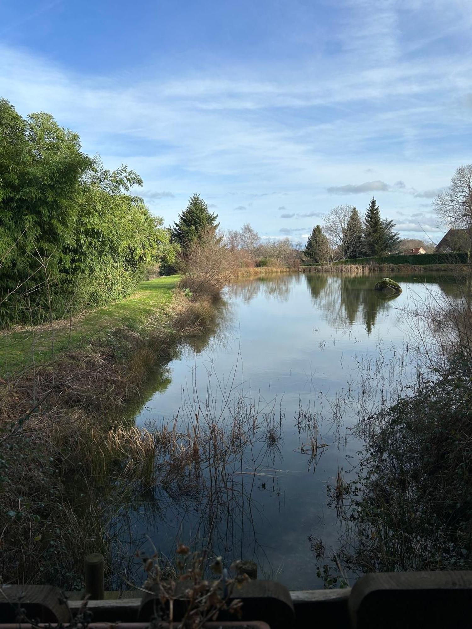 Le Domaine De La Vergnolle Roches  Exteriér fotografie