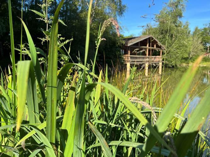 Le Domaine De La Vergnolle Roches  Pokoj fotografie